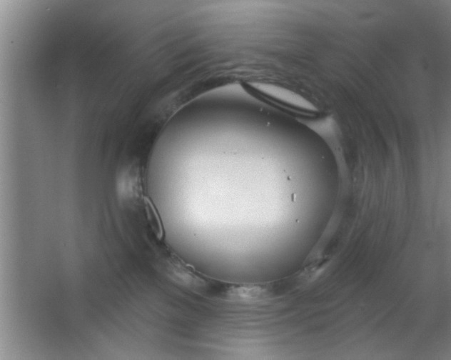 X0000063450137200602031817