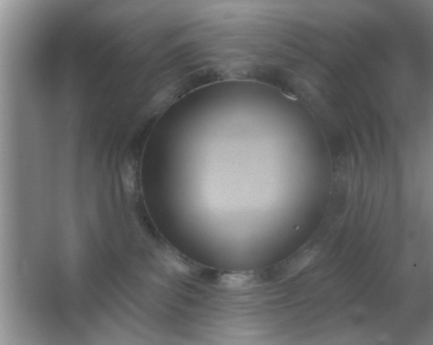 X0000063450139200602031817