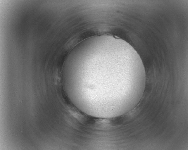 X0000063450140200602031817