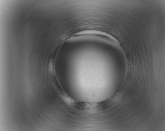 X0000063450143200602031817