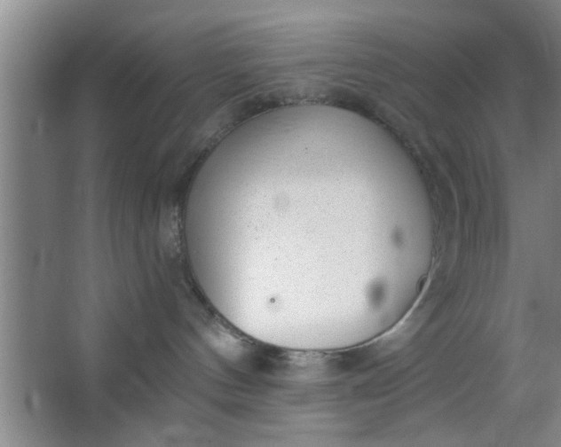 X0000063450144200602031817