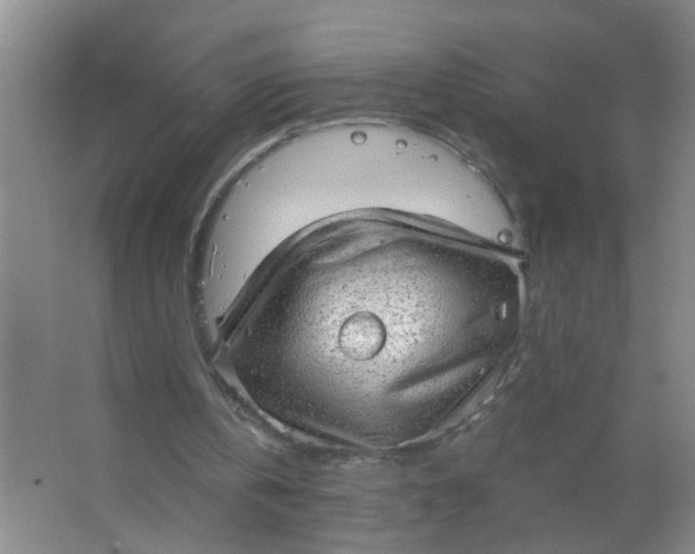 X0000063450146200602031817