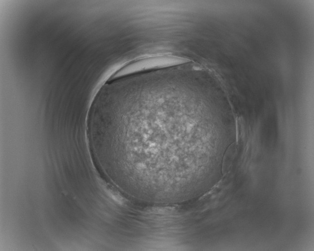 X0000063450147200602031817