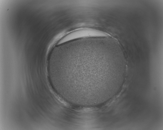 X0000063450149200602031817