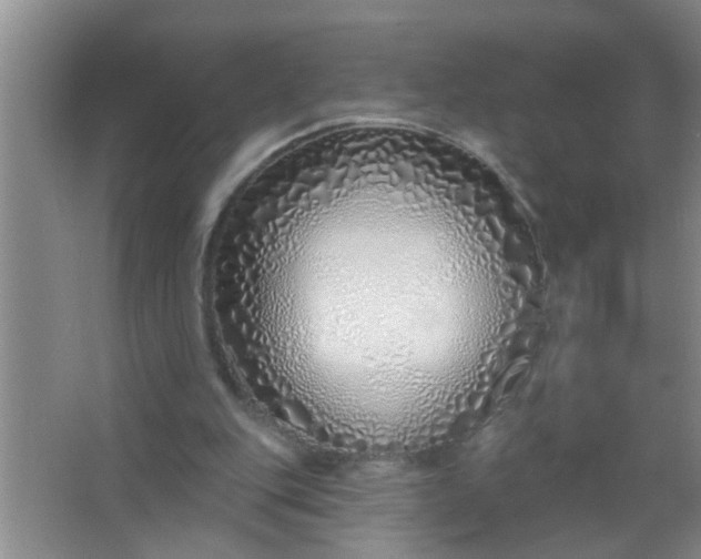 X0000063450151200602031817