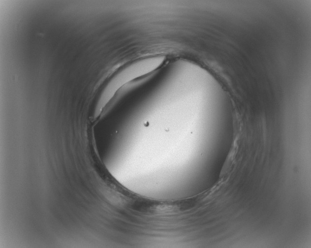 X0000063450154200602031817