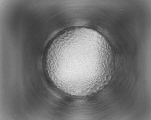 X0000063450155200602031817