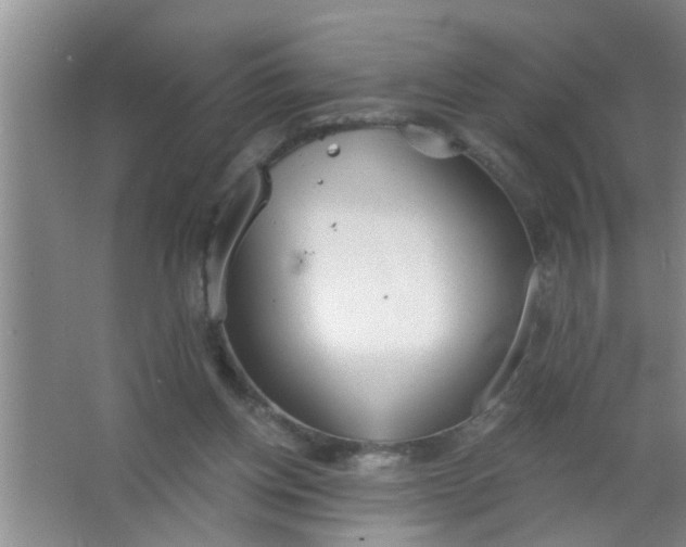 X0000063450158200602031817