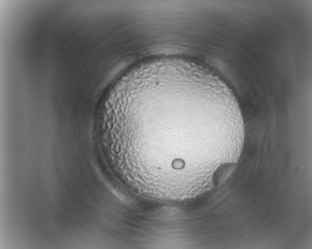 X0000063450159200602031817