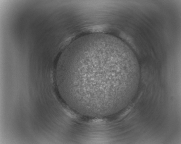 X0000063450161200602031817