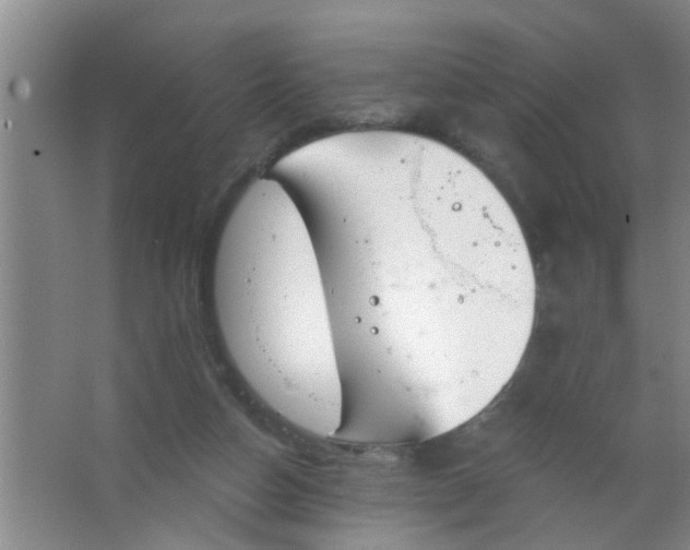 X0000063450162200602031817