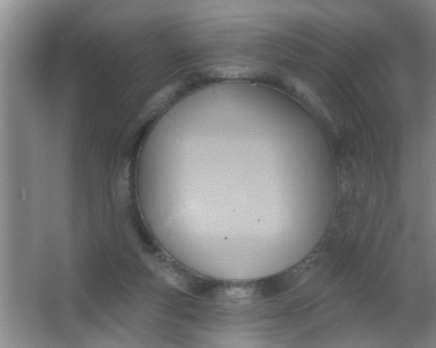 X0000063450163200602031817