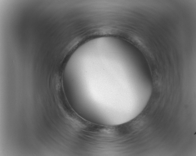 X0000063450164200602031817