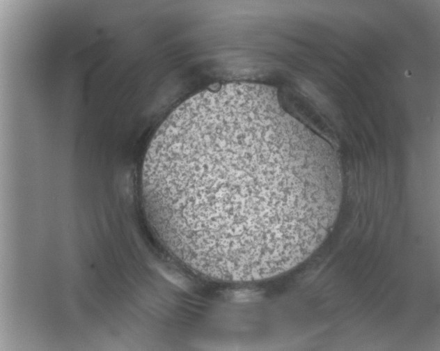 X0000063450165200602031817