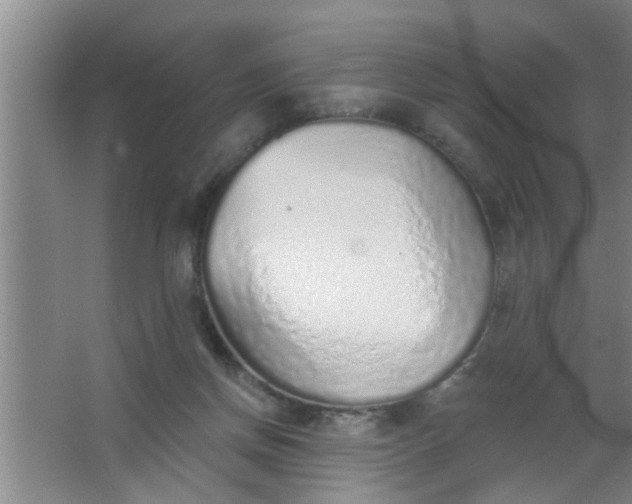 X0000063450166200602031817