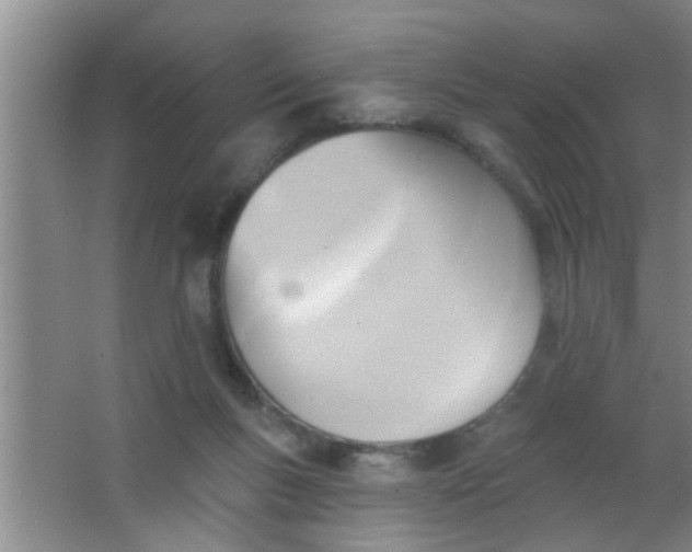 X0000063450167200602031817