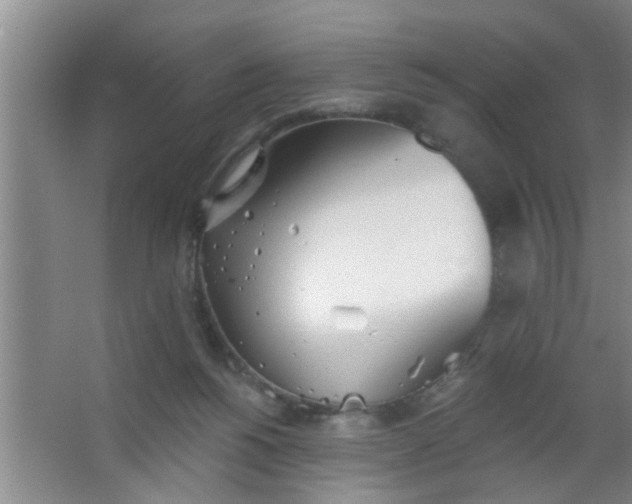 X0000063450168200602031817