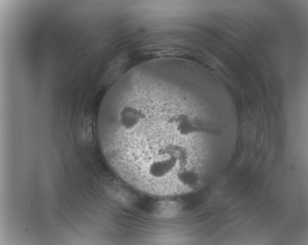 X0000063450169200602031817