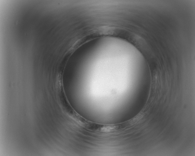 X0000063450172200602031817