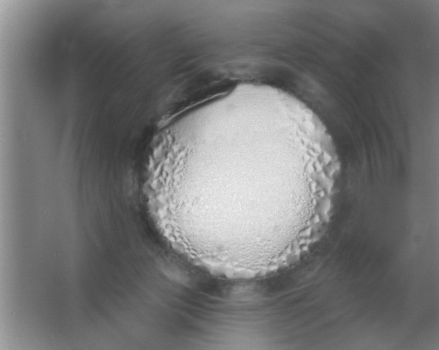 X0000063450173200602031817