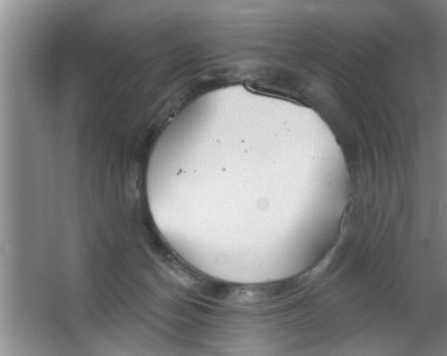 X0000063450174200602031817