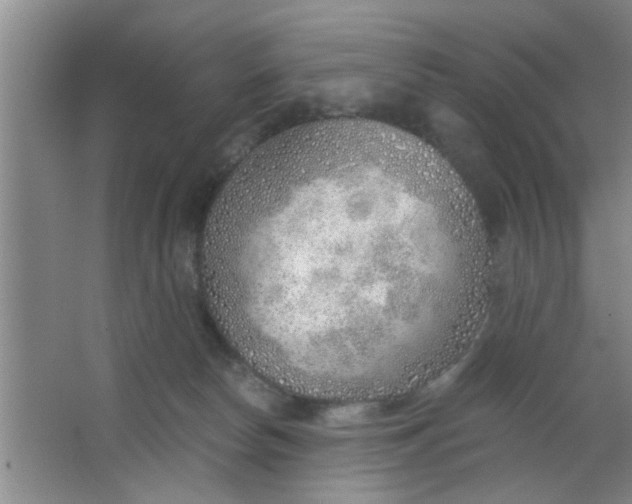 X0000063450178200602031817