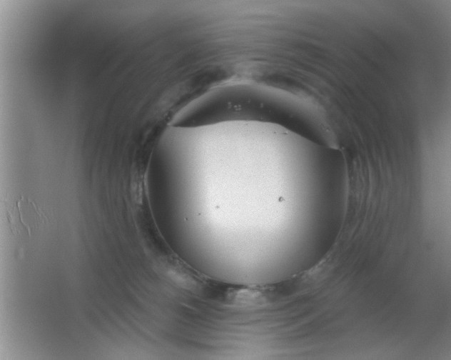 X0000063450180200602031817