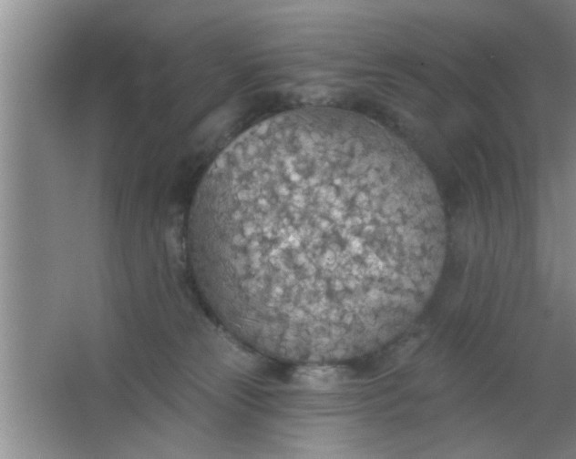 X0000063450181200602031817