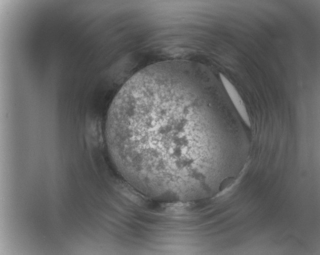 X0000063450182200602031817