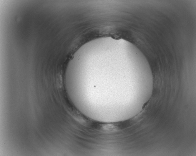 X0000063450183200602031817