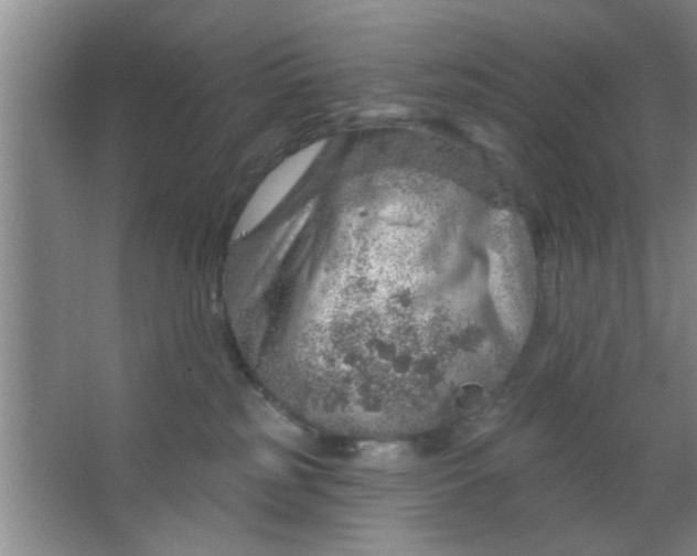 X0000063450185200602031817