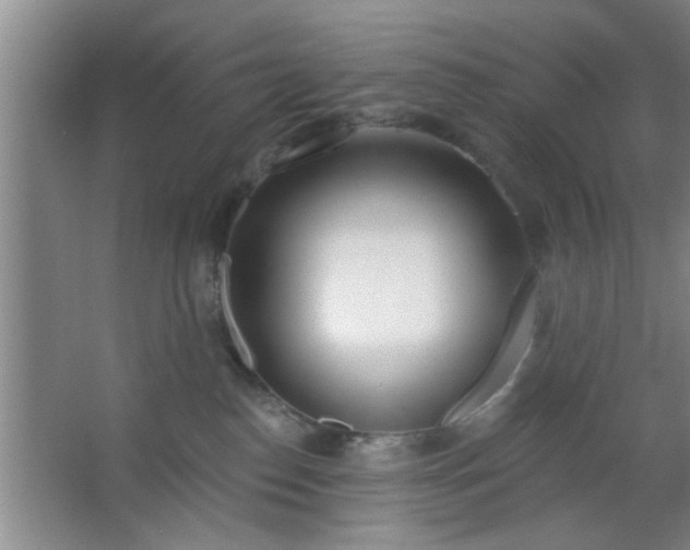 X0000063450186200602031817