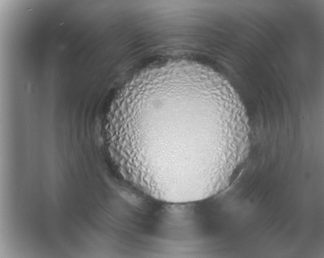 X0000063450187200602031817