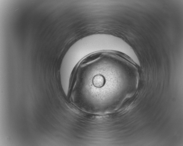 X0000063450188200602031817