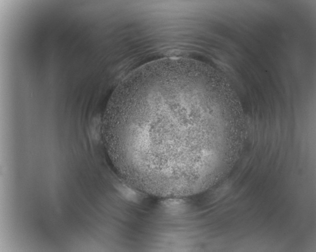 X0000063450189200602031817