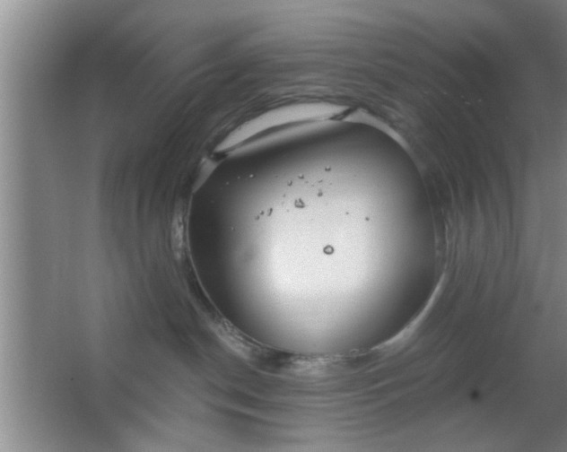 X0000063450190200602031817