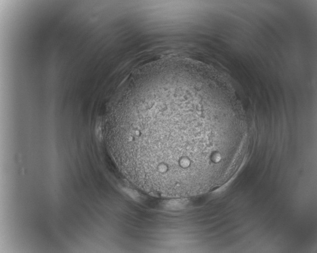 X0000063450191200602031817