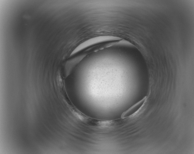 X0000063450192200602031817