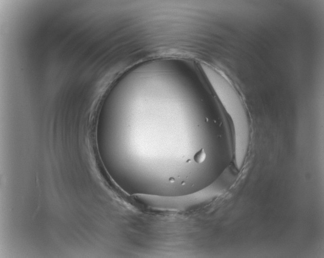 X0000063450193200602031817