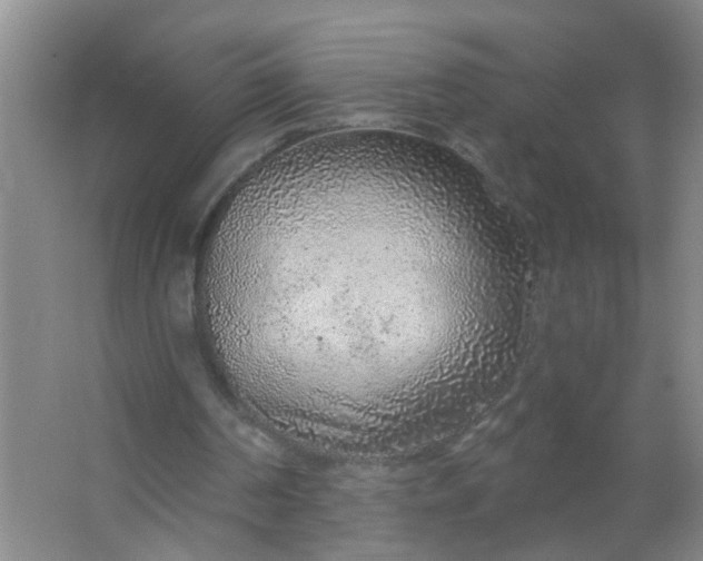 X0000063450194200602031817