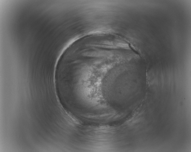 X0000063450196200602031816