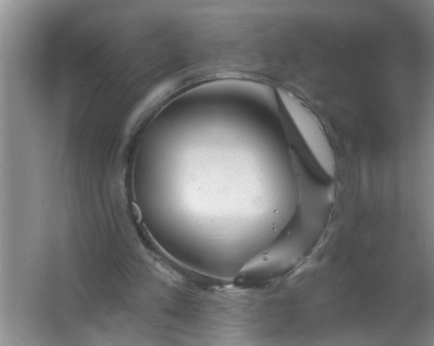 X0000063450197200602031816