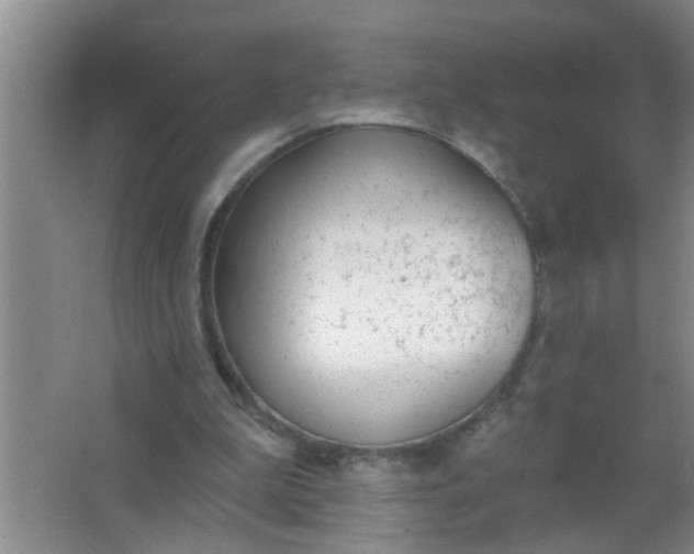 X0000063450199200602031816