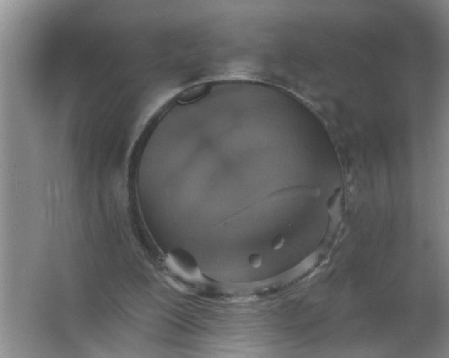 X0000063450200200602031816