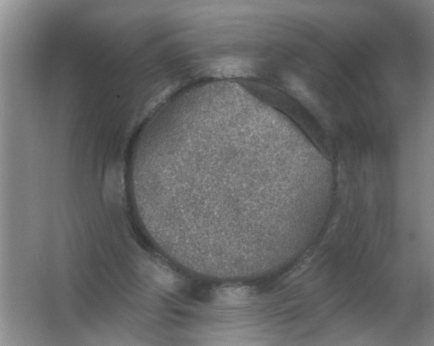 X0000063450202200602031816