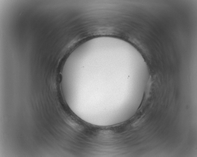 X0000063450203200602031816