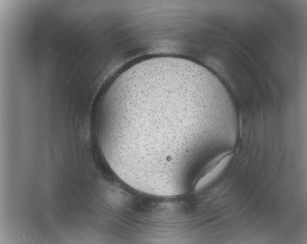 X0000063450204200602031816