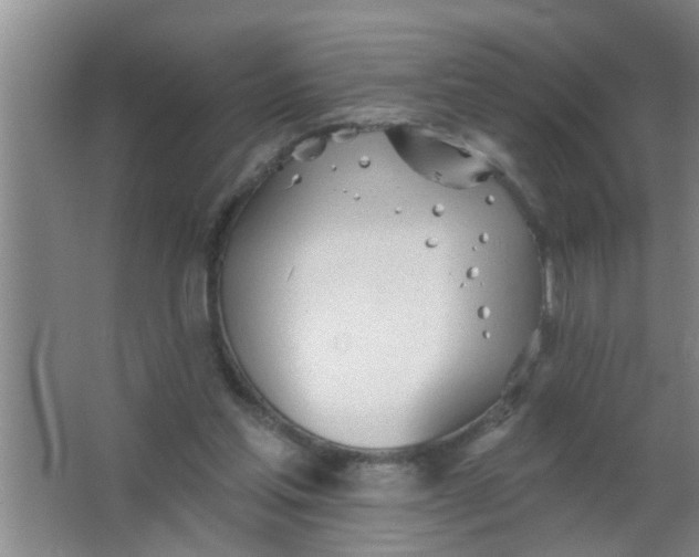 X0000063450205200602031816