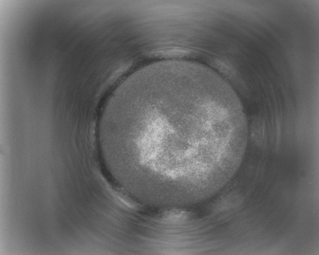 X0000063450206200602031816