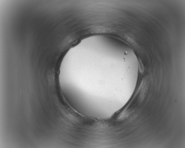 X0000063450207200602031816